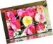 P5 Full Color LED Indoor LED Display Support Any Format Of Video For Airport
