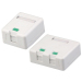 High Quality Surface Rj11 RJ45 Box with Shutter