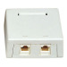 Dual Port Surface Box RJ45