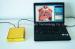 OEM Golden Computer System 3D NLS Sub Health Analyzer For Body Analyser