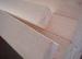 E1 Glue Poplar Laminated Veneer Lumber , Customized Lvl Scaffolding Plank