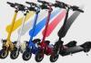 Portable Standing Electric Scooter