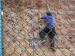 PVC Chain Link Fence Gabion Mesh Rhombic Diamond Mesh Fence Roll