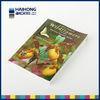 Full color softcover photo book printing with matte , glossy coated art paper