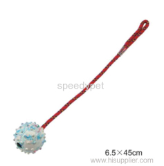 China pet toys for dog scratcher