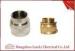 Brass Male & Female Flexible Conduit Adaptor with Nickle Plated 20mm 25mm