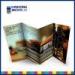 Colorful tri fold brochure printing services with film lamination , hot stamping