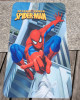 Non-woven carpet YH001P9 SPIDER MAN