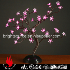 Pink lighted blossom bonsai