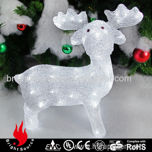 acrylic lights wild bear