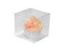 Fashional Clear Plastic Cupcake Boxes / Foldable Plastic Boxes Packaging