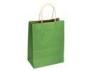 Customized Green Paper Gift Bags With Handles / rope handle paper bag