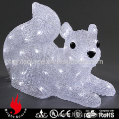 animal light lying squirrel