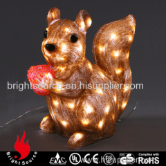 animal light playing squirrel