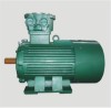 3 Phase Fan Motor Flame Proof Motor