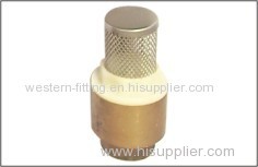 Brass Check Valve Light Weight Model