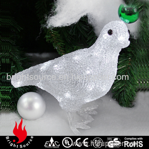 animal light battery pigeon