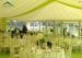 Family Party Pagoda Tents Glass Wall With Beautiful Linings / Curtains