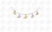 Silver and Gold 316L Stainless Steel Necklace Chain Butterfly Charms