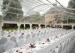 Transparent PVC Tent Frabic Marquee Tents For Party / Wedding 10m * 20m