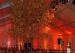 Classic Shape Decorated Wedding Tents Red Roof Linings / Curtains