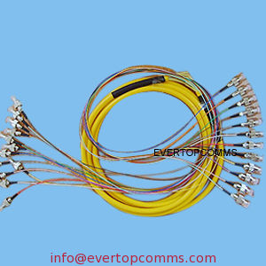 12 cores Fiber Optic Patch Cord