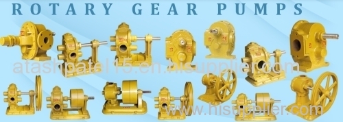 Rotary gear pump s