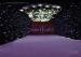 Pure White 2 *3m LED Backdrop Light Star Cloth Curtain in Wedding Party Decoration