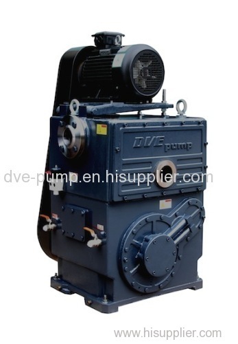 The Highly Complete Varieties of Rotary Piston Vacuum Pumps