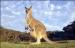 Professional DHL Express Services To Australia Door to Door Directly