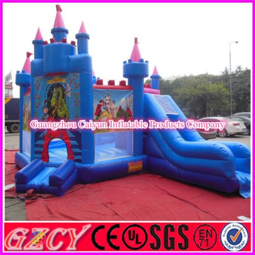 Hot Seling Inflatable Jumping House