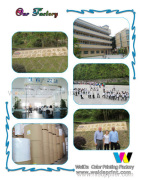 WeiHong Paper &Printing Co, Ltd.