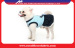2015 new spring and Summer hot style navy girl dog dress