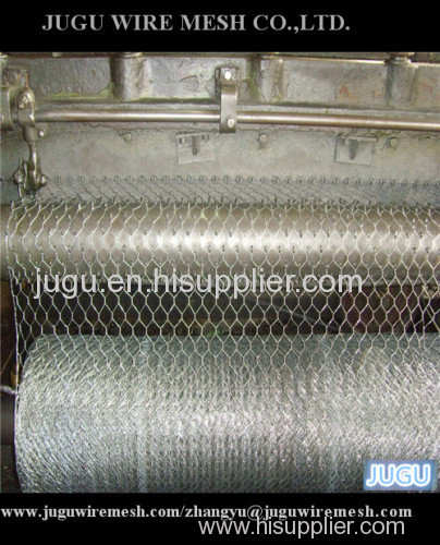 Galvanized chicken wire poultry mesh/Guard hexagonal wire mesh/chicken coop hexagonal wire netting