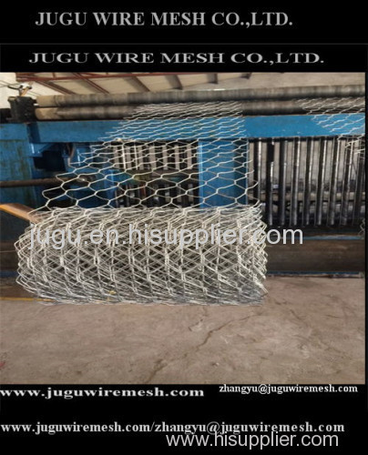 Galvanized chicken wire poultry mesh/Guard hexagonal wire mesh/chicken coop hexagonal wire netting
