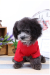 New style red pet T-shirt with 100% cotton for small dog