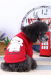 New style red pet T-shirt with 100% cotton for small dog