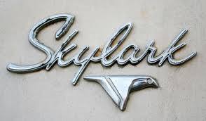 skylark enterprises