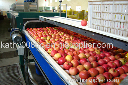 apple juice processing line