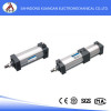 Doulbe Action Standard air cylinder