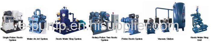 Iron Cast Liquid Ring Vacuum Pump Used for Degassing Industry