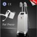 Vertical Zeltiq Cool Sculpting Body Slimming Machine With Two Cryolipolysis Handles