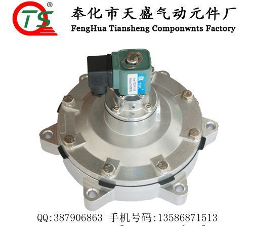 DN62 Submerged Solenoid Pulse Valve