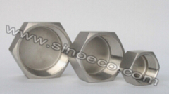 Stainless Steel Female Regular Hex Cap Screw Cap Pipe Fitting