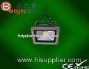 6000K Exterior Colored Waterproof LED Flood Light 50W For Billboard 220Volt