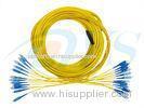 High Fiber Density Optical Fiber Patch Cord Single Mode 4 - 48 Cores Ribbon / Bundle Pigtail