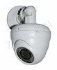 SHARP Color CCD NIRB3T-C 30M Vandalproof IR Dome Camera With Adjusting External Lens