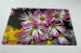 Non-woven carpet YH001P19 Flowers