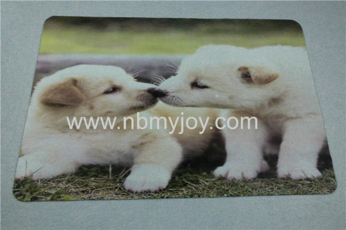 Non-woven carpet YH001P34 Puppy