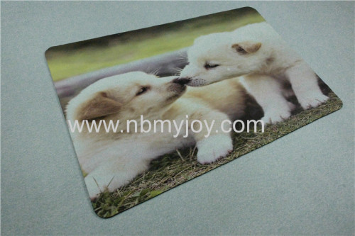  Non-woven carpet  YH001P34 Puppy 